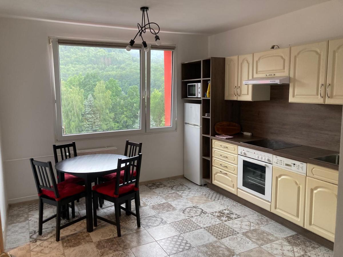 U Kosmonauta Apartment Decin Exterior foto