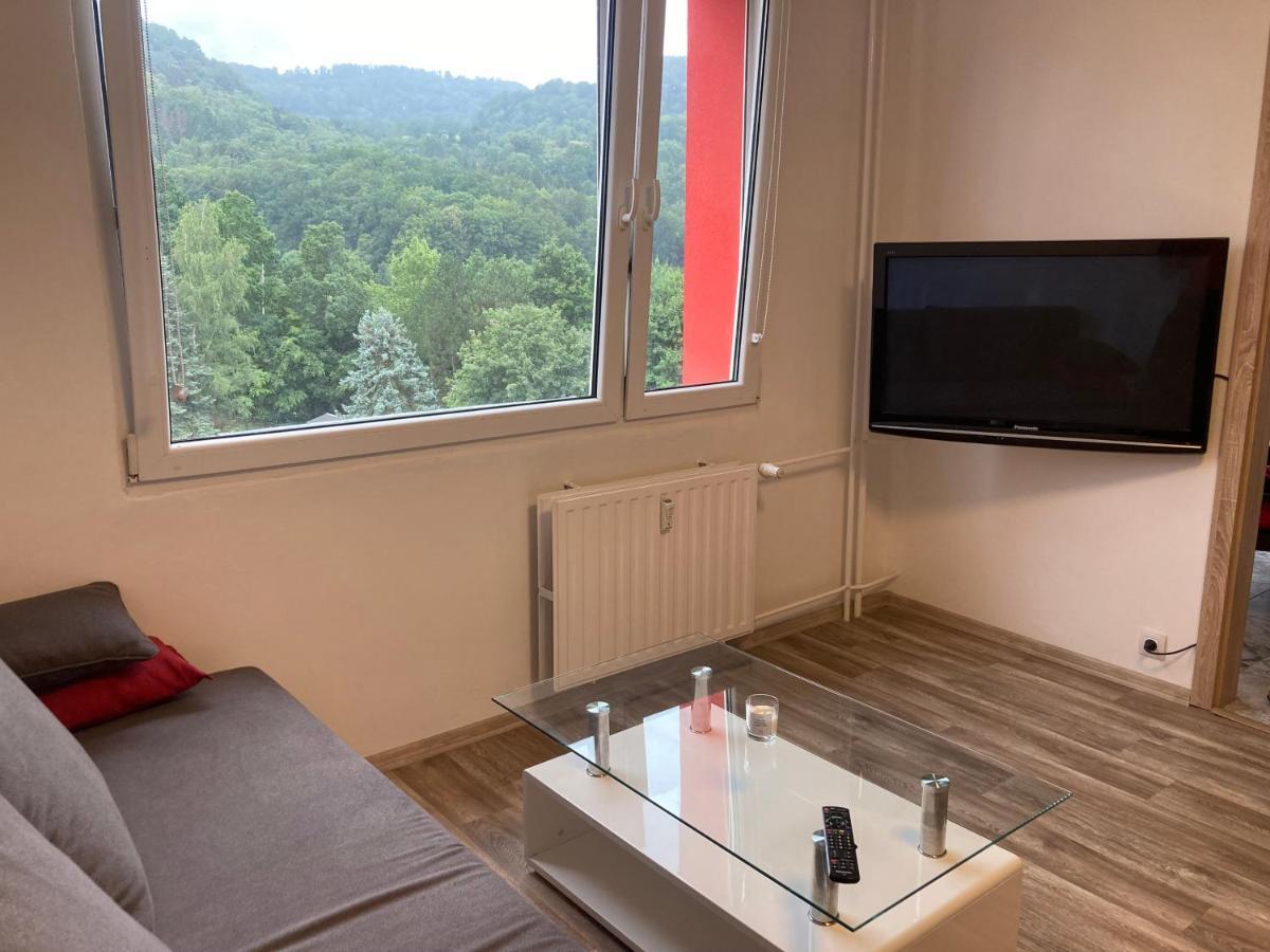 U Kosmonauta Apartment Decin Exterior foto